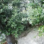 With A Parking Space Zivogosce - Porat, Makarska - 1055 * Igrane